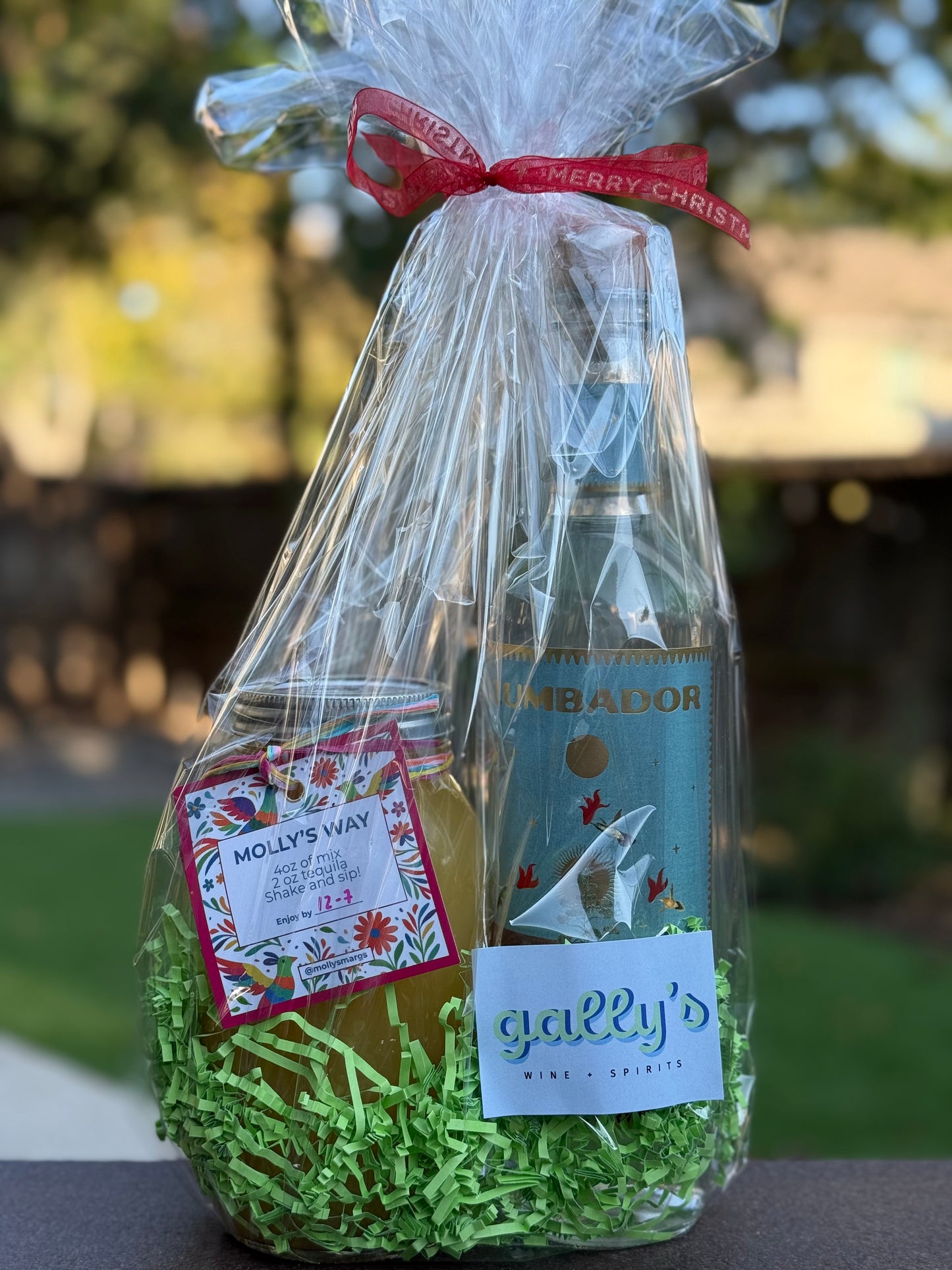 Gally's x Molly's Margs | Blanco