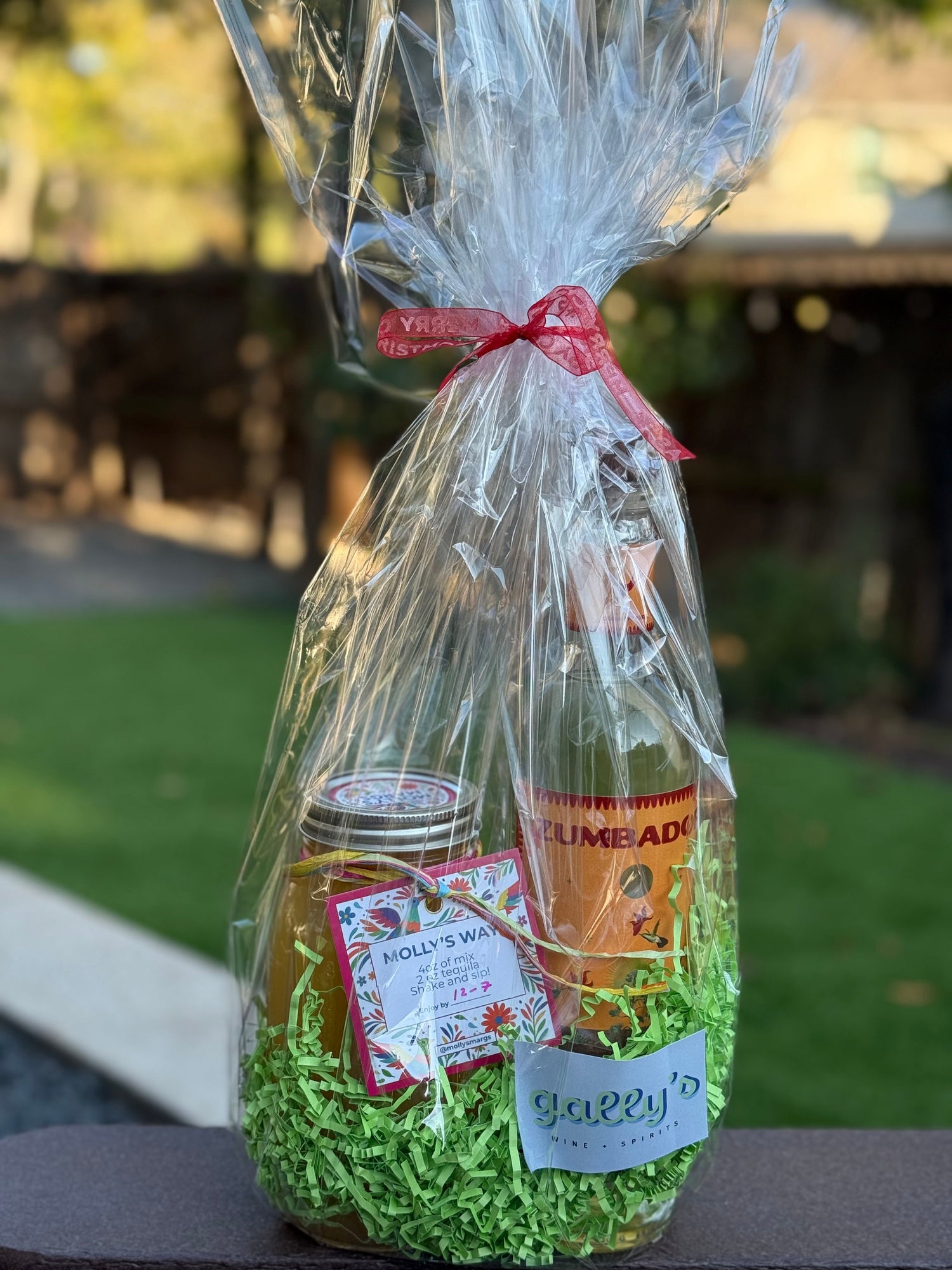 Molly's Margs X Zumbador Tequila