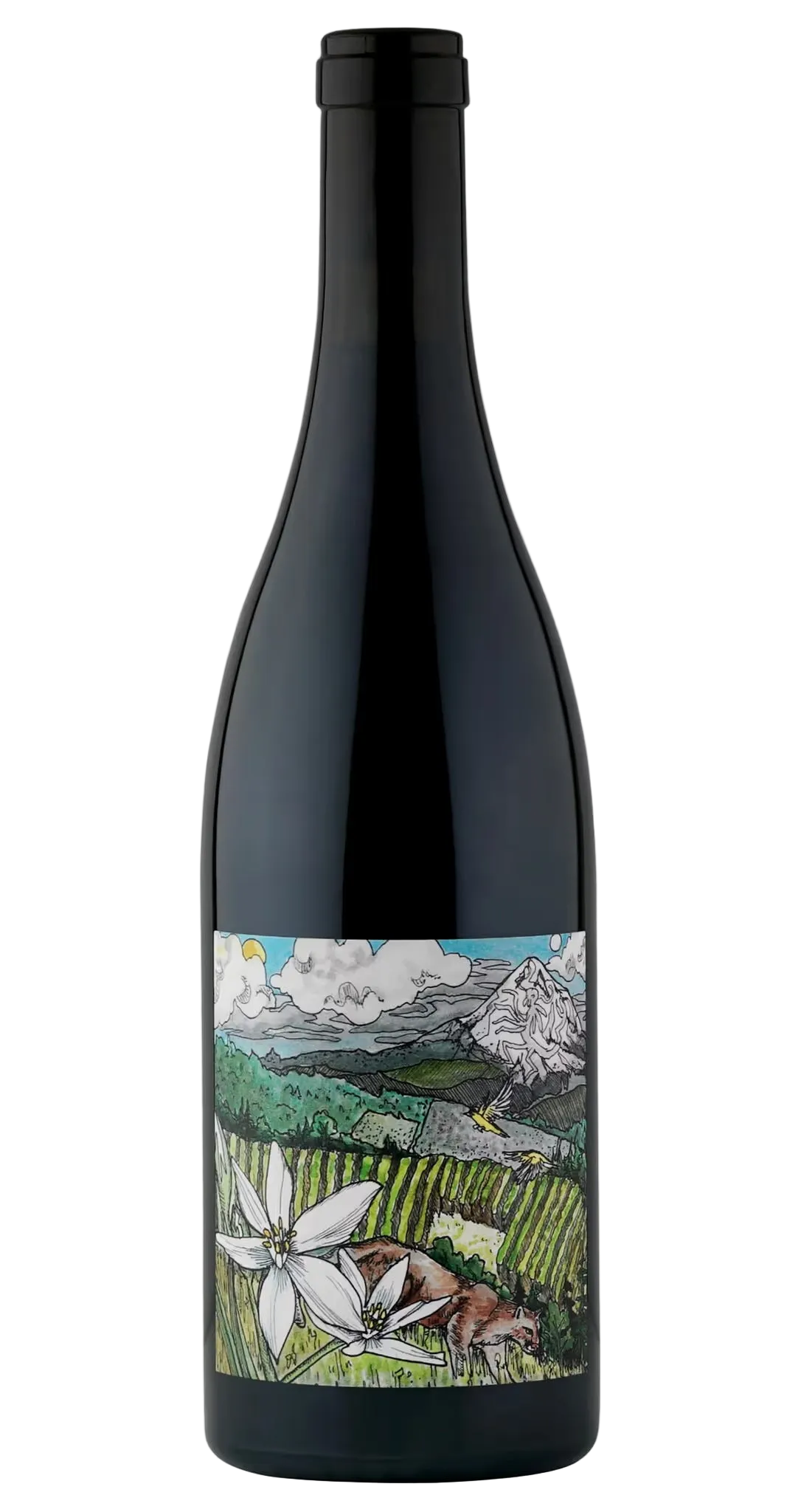 Kelley Fox | Mirabai Pinot Noir| Dundee Hills, Oregon | 2024