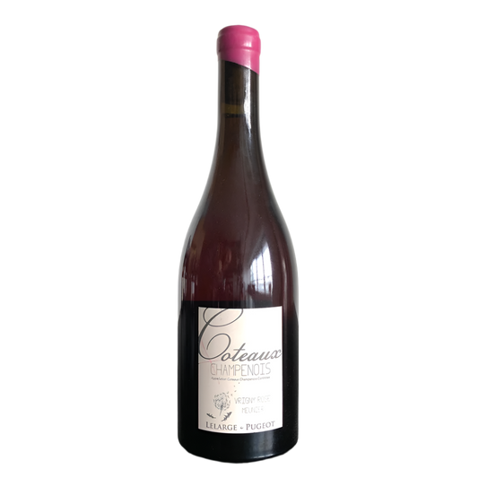 Champagne Lelarge-Pugeot | Vrigny Coteaux Champenois Rosé | 2022
