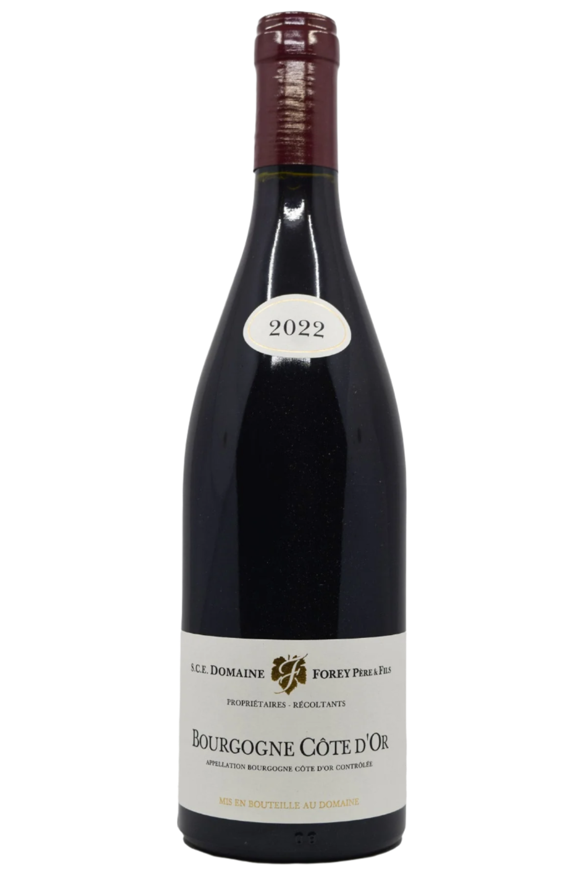 Regis Forey | Bourgogne Rouge | Burgundy, FR | 2022