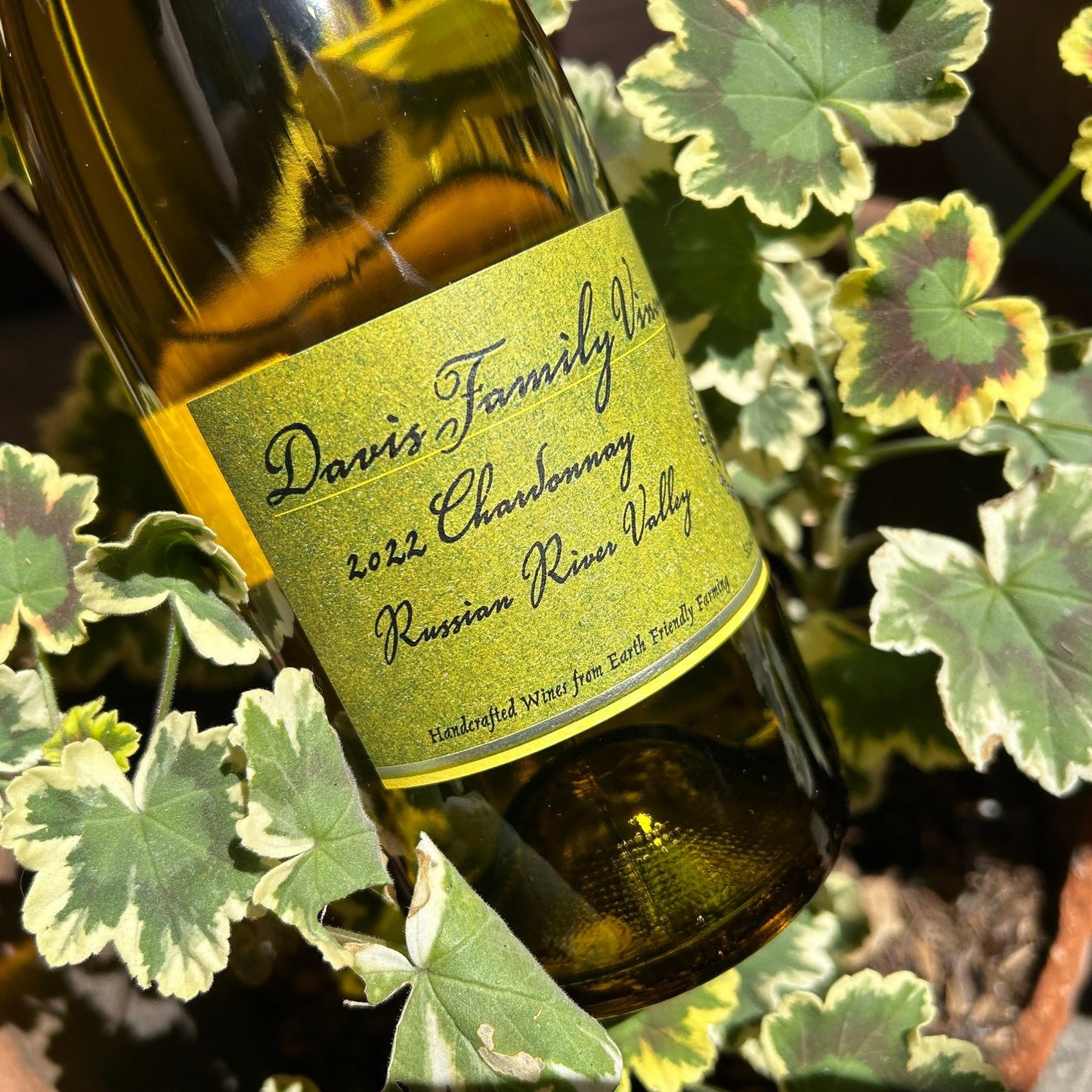 Davis Family Vineyards | Chardonnay | Russian River Valley | 2021