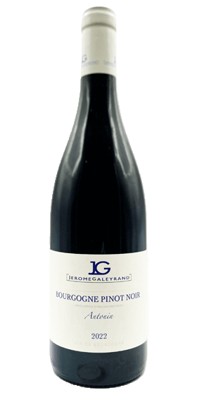 Jerome Galeyrand | Bourgogne "Antonin" Pinot Noir | Burgundy, France | 2022